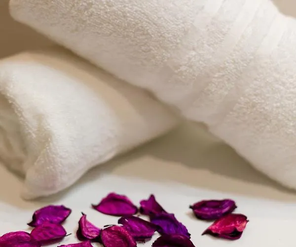 Oda ve Kahvaltı Toma'