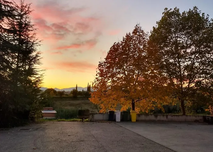 Toma' Oda ve Kahvaltı